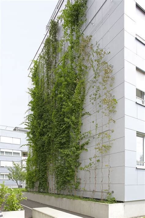 jakol .com|jakob trellis system.